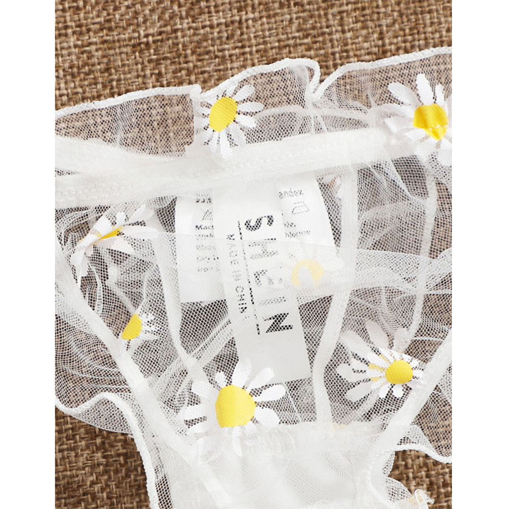 Sexy Lace Transparent Lingerie - Sheer Bra Lace recension och pris